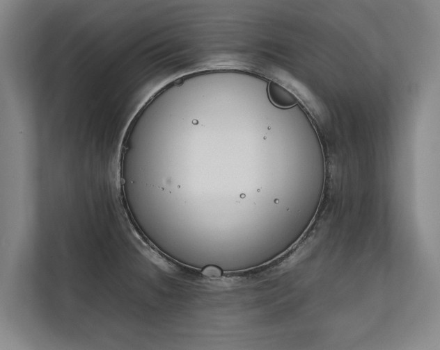 X0000111141236200907071042