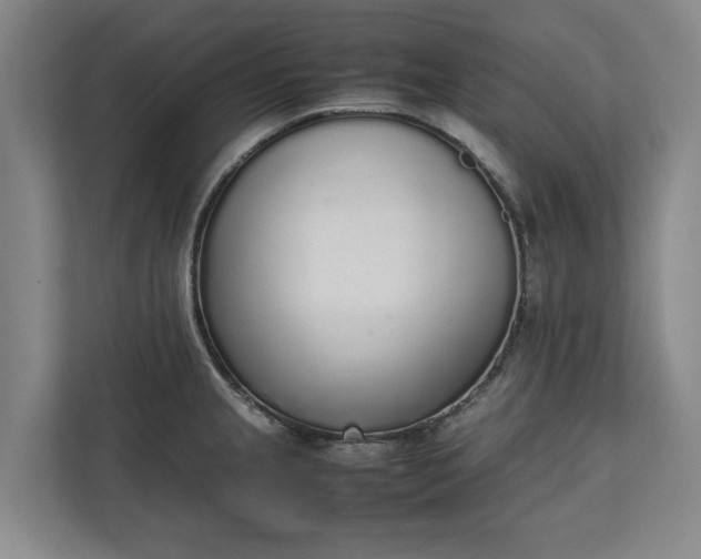 X0000111141237200907071042