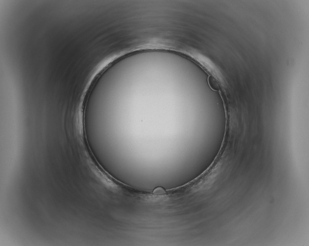 X0000111141238200907071042