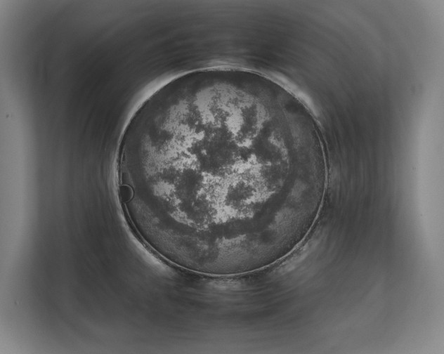 X0000111141239200907071042