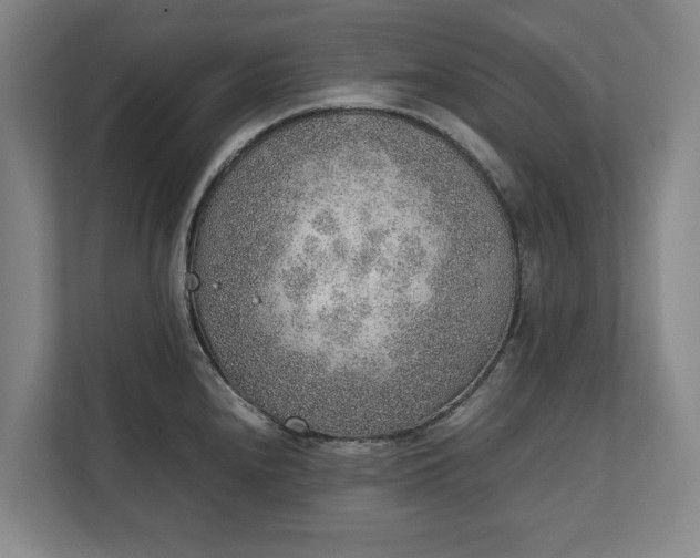 X0000111141240200907071042