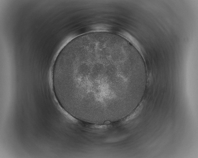 X0000111141243200907071042