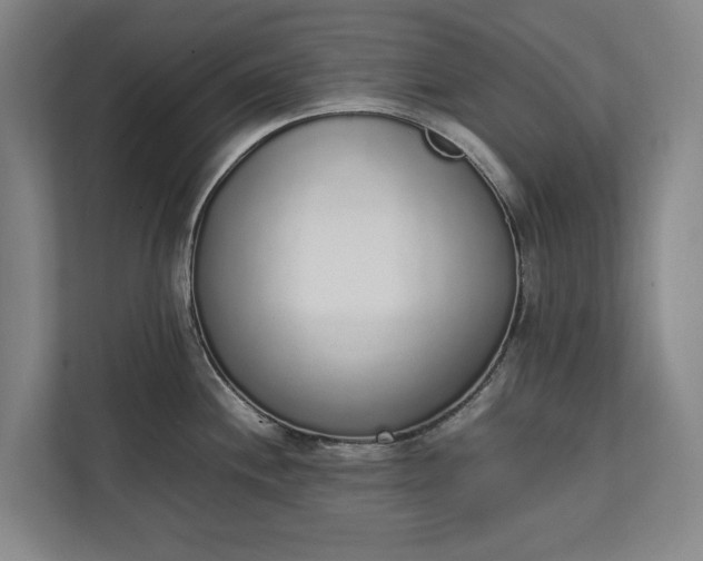 X0000111141244200907071042