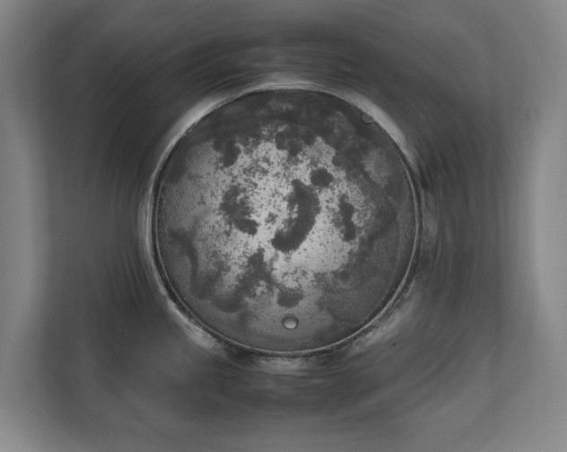 X0000111141245200907071042