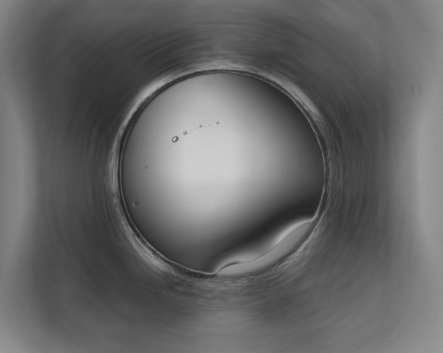 X0000111141246200907071042