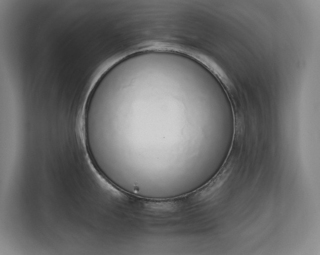 X0000111141247200907071042