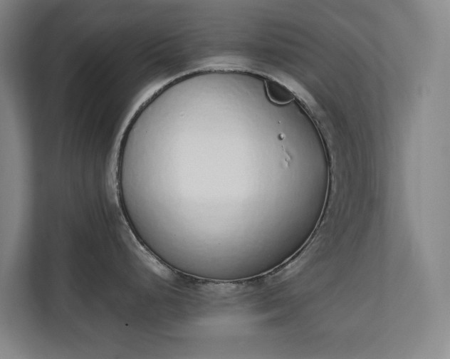 X0000111141248200907071042