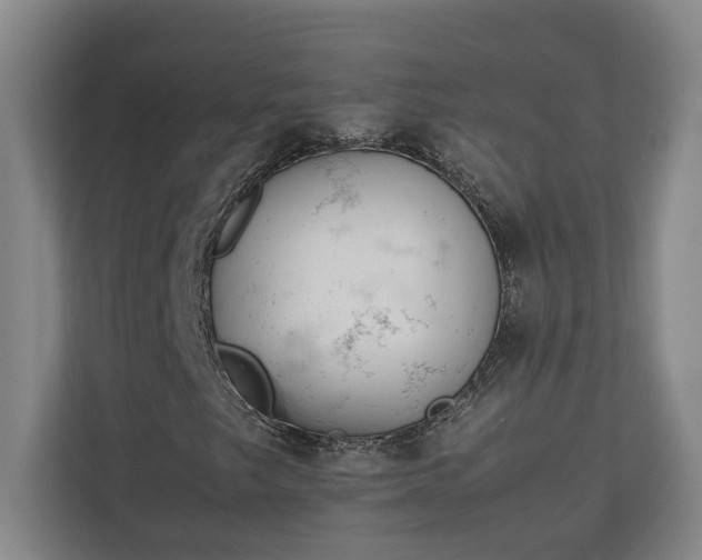 X0000111141249200907071042