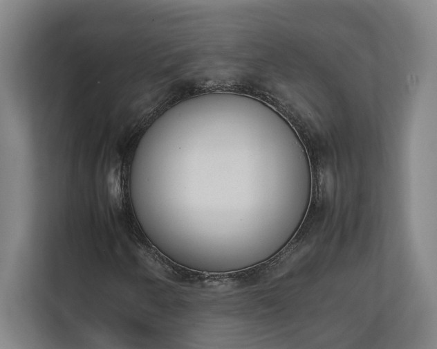 X0000111141250200907071042