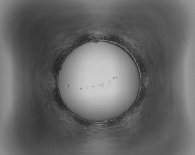 X0000111141253200907071042