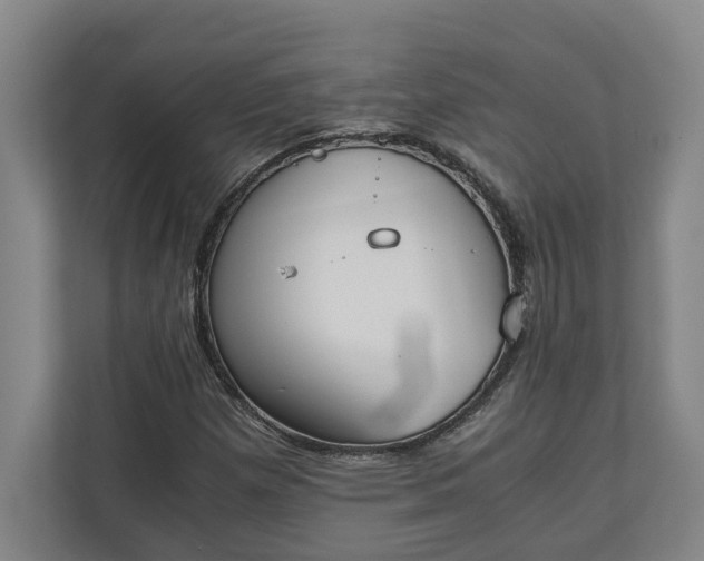 X0000111141257200907071042