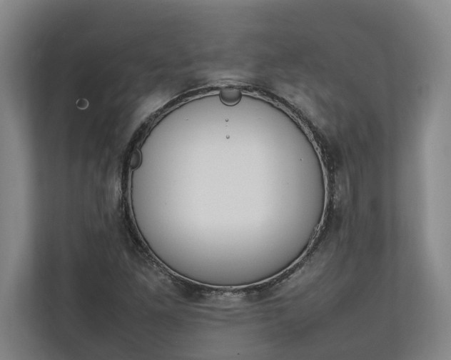 X0000111141261200907071042