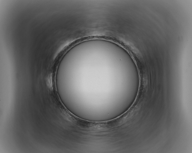 X0000111141262200907071042