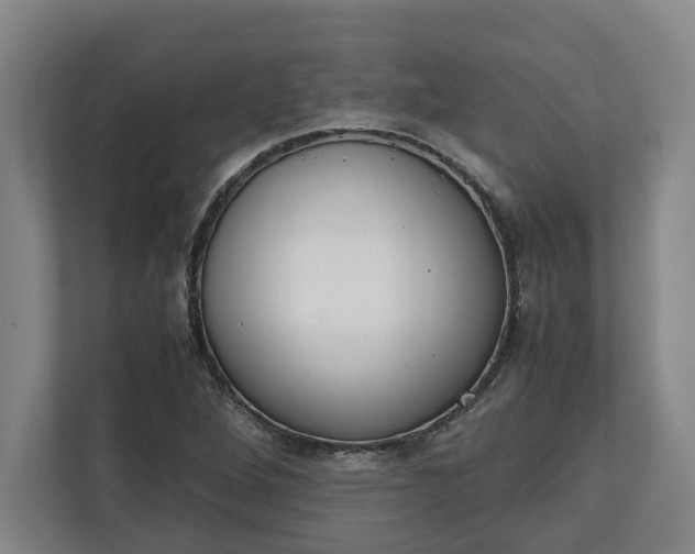 X0000111141264200907071042