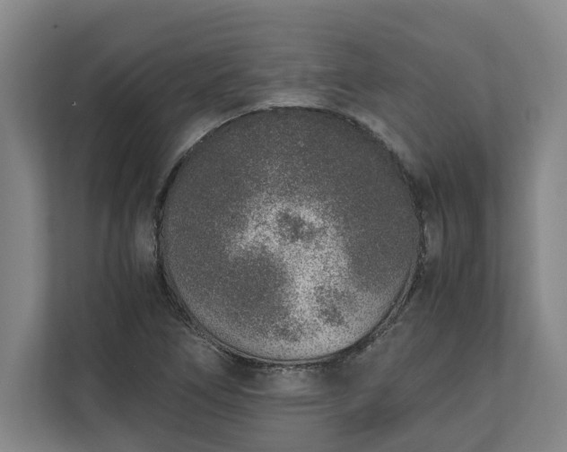 X0000111141266200907071042