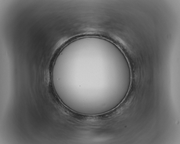 X0000111141267200907071042