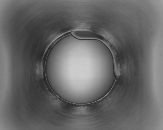 X0000111141268200907071042