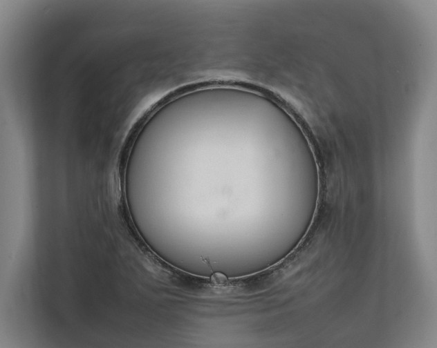 X0000111141271200907071042