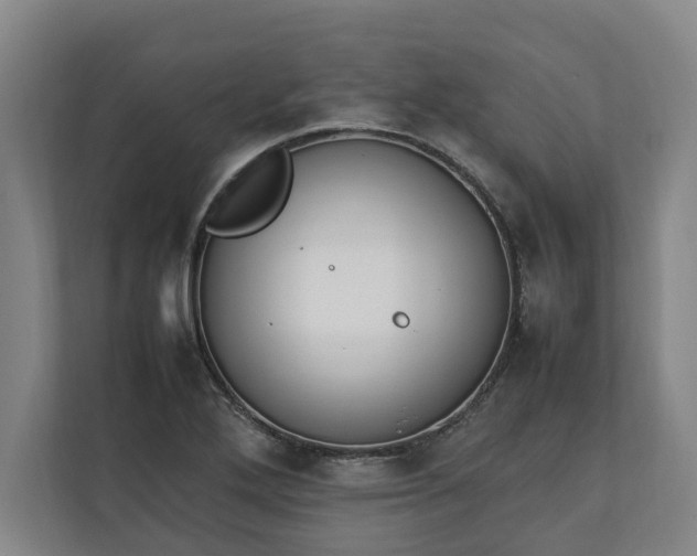 X0000111141272200907071042