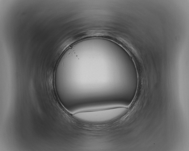 X0000111141273200907071042