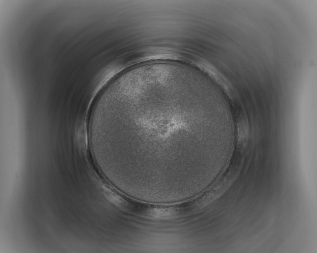 X0000111141274200907071042