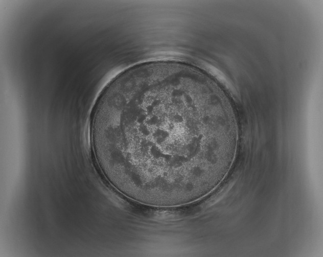 X0000111141275200907071041