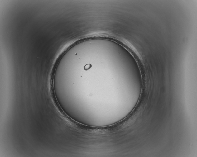 X0000111141277200907071041