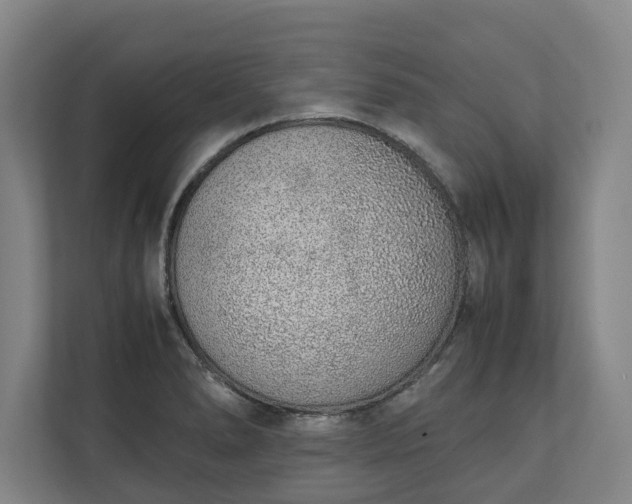 X0000111141278200907071041