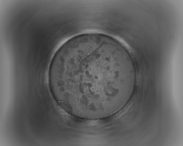 X0000111141279200907071041