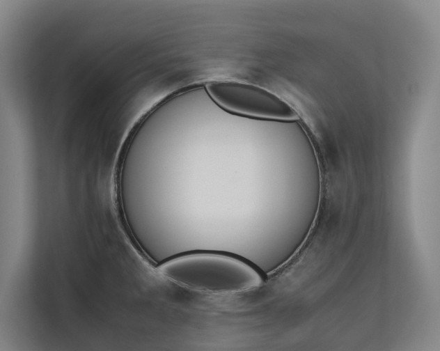 X0000111141285200907071041