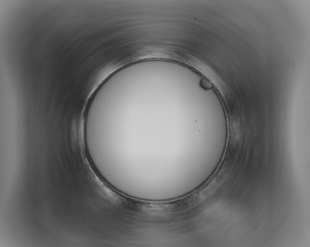 X0000111141290200907071041