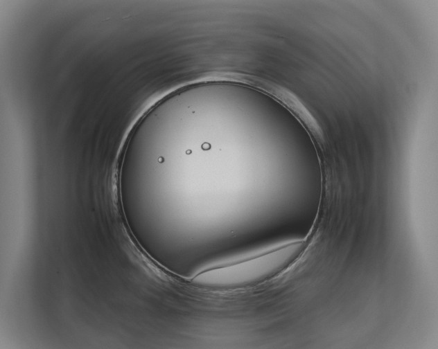 X0000111141292200907071041