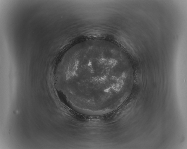 X0000111141297200907071041