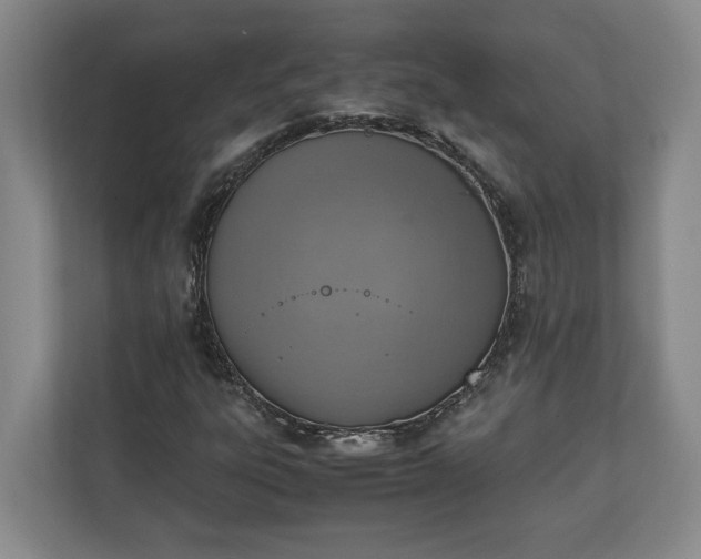 X0000111141303200907071041