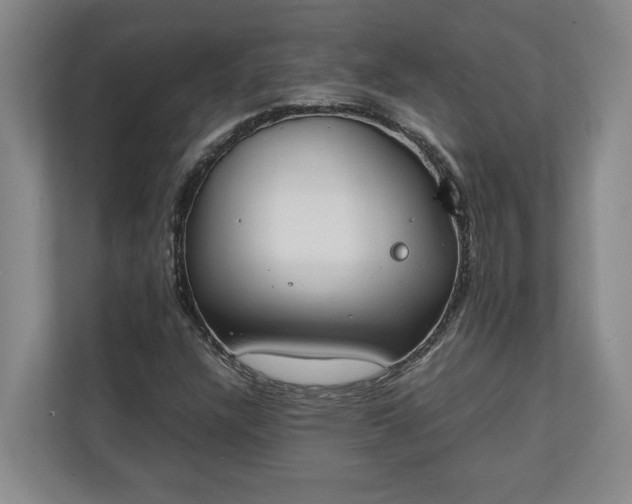 X0000111141304200907071041