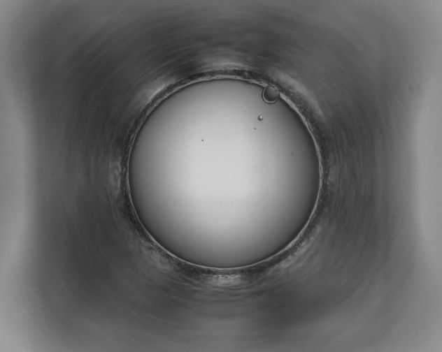 X0000111141313200907071041