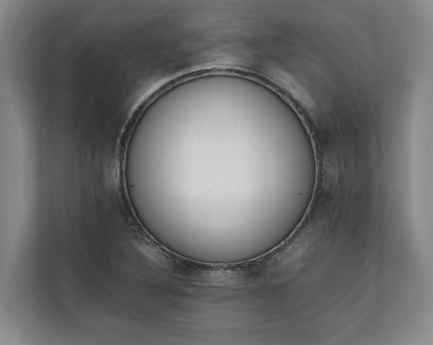 X0000111141316200907071041