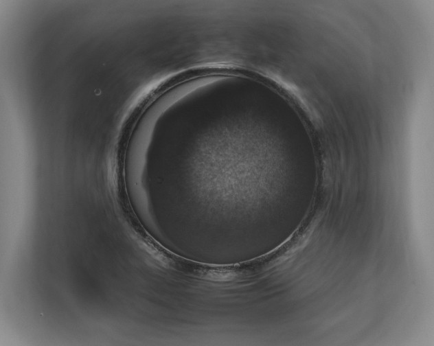 X0000111141319200907071041