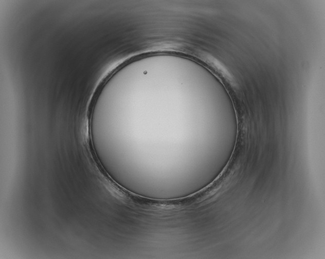 X0000111141324200907071041