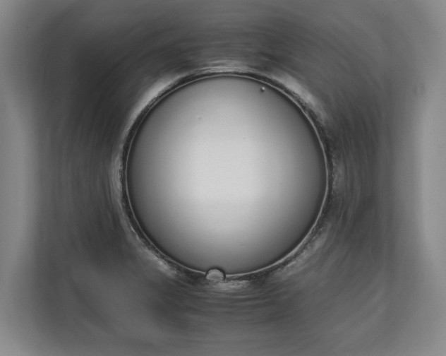 X0000111141325200907071041