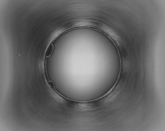 X0000111141330200907071041