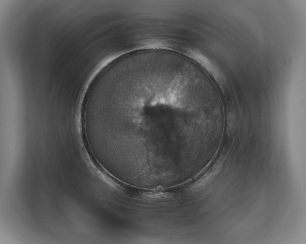 X0000111141331200907071041