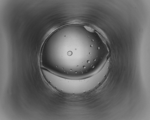 X0000111141338200907071041