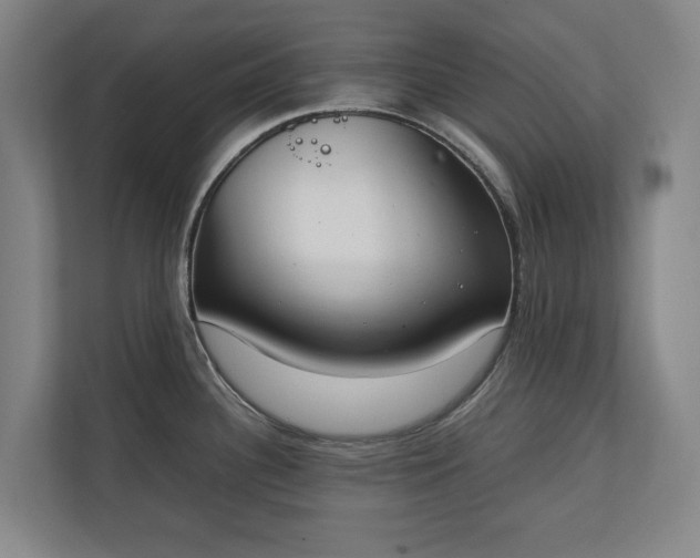 X0000111141340200907071041