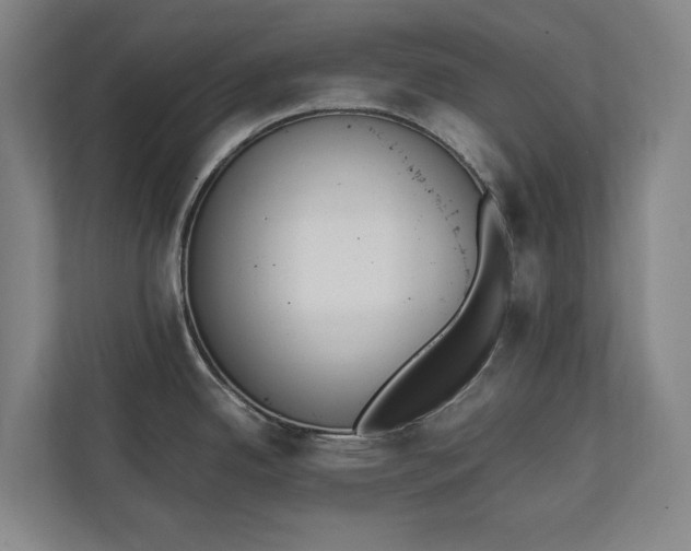 X0000111141342200907071041