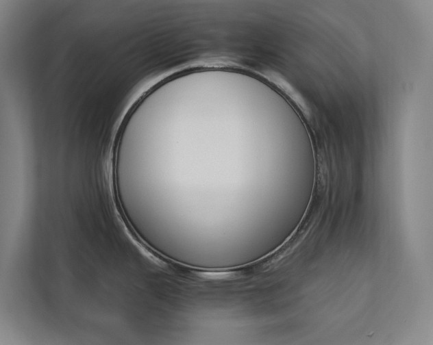 X0000111141343200907071041