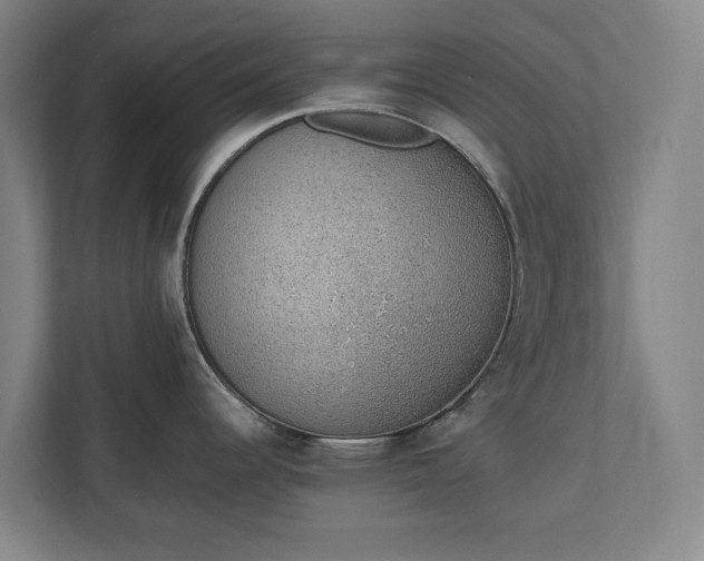 X0000111141344200907071041