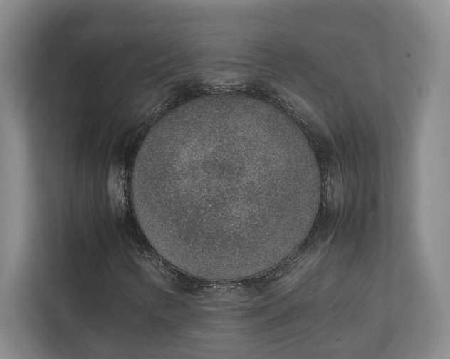 X0000111141346200907071041