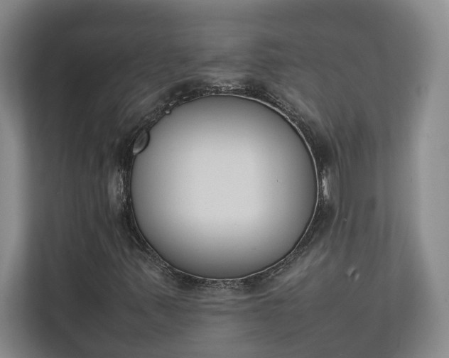 X0000111141347200907071041