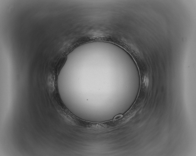 X0000111141348200907071041